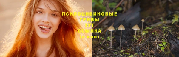 трава Заводоуковск